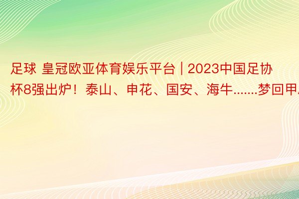 足球 皇冠欧亚体育娱乐平台 | 2023中国足协杯8强出炉！泰山、申花、国安、海牛.......梦回甲A时期