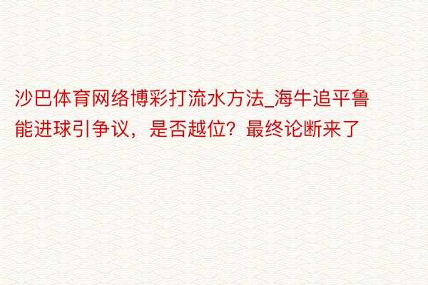 沙巴体育网络博彩打流水方法_海牛追平鲁能进球引争议，是否越位？最终论断来了